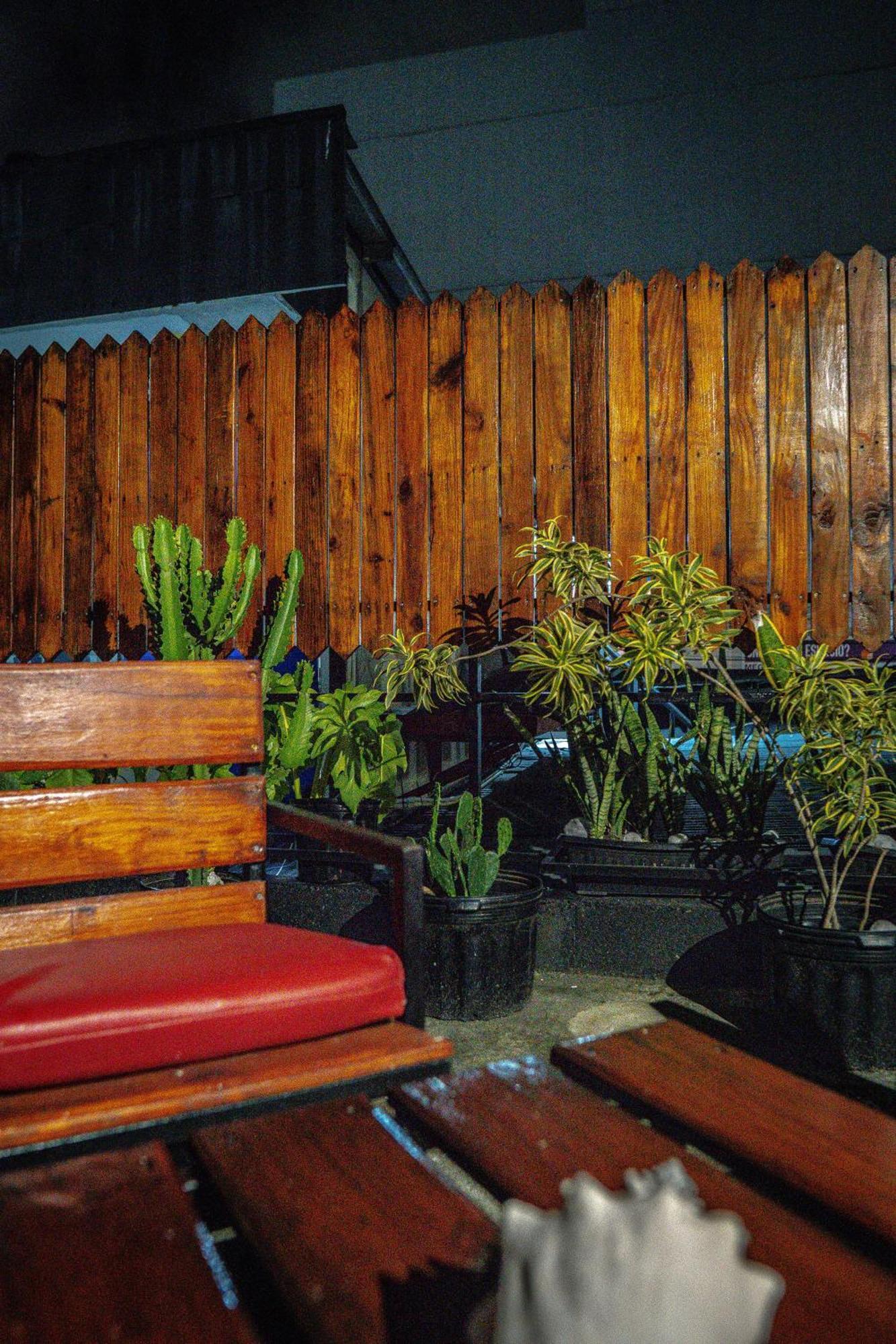 Eden'S Garden Hostel Panama City Exteriör bild